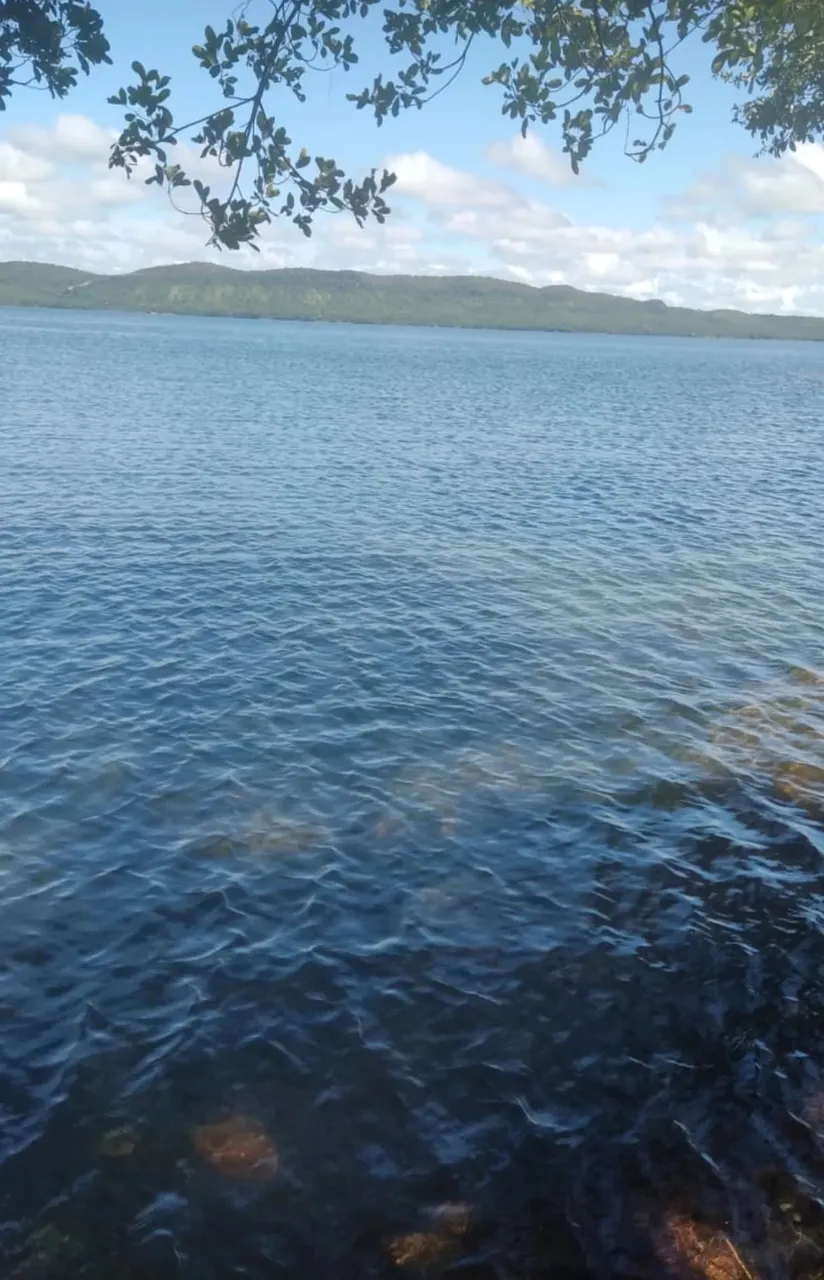 Chácara beira lago, sentindo Lageado c Área privativa km 32, 30mt de lago