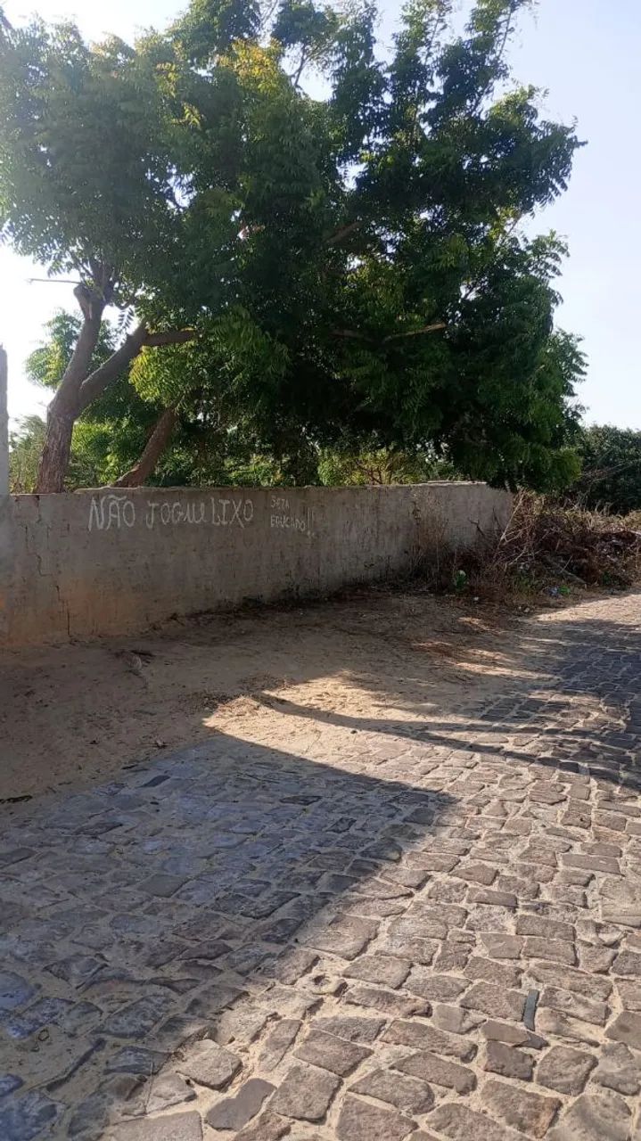 Foto - Luís Correia - 