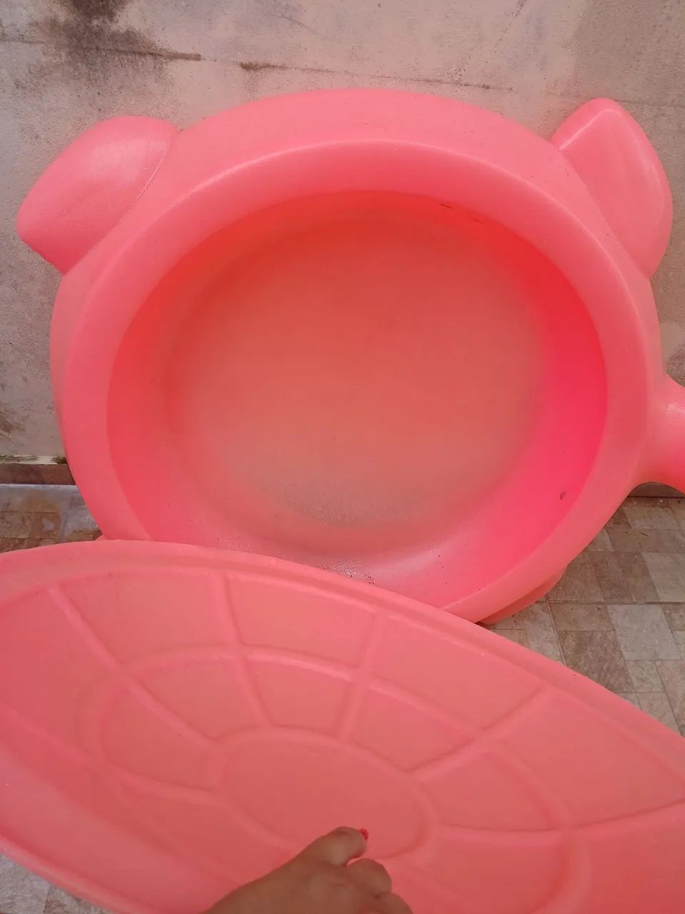 Piscina tartaruga  - Foto 3