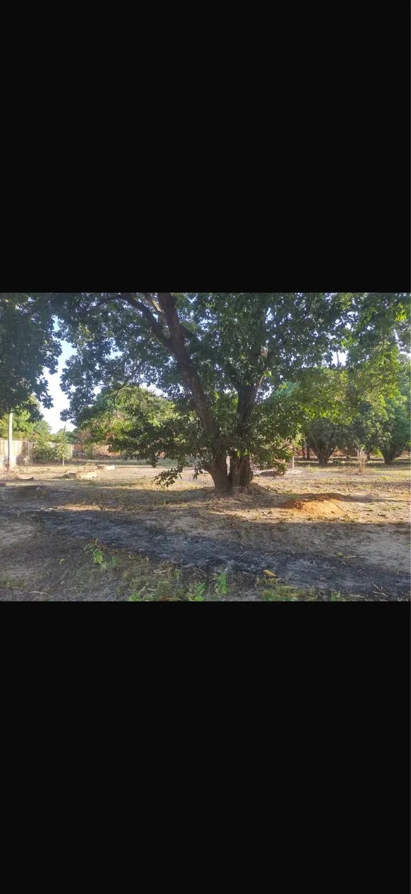 2 LOTES  - Foto 2
