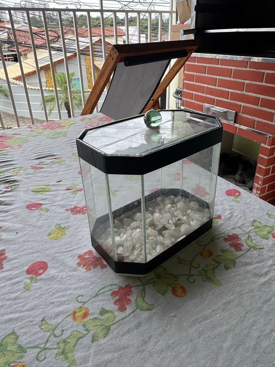 Aquário para Betta (peixe beta) - Foto 2