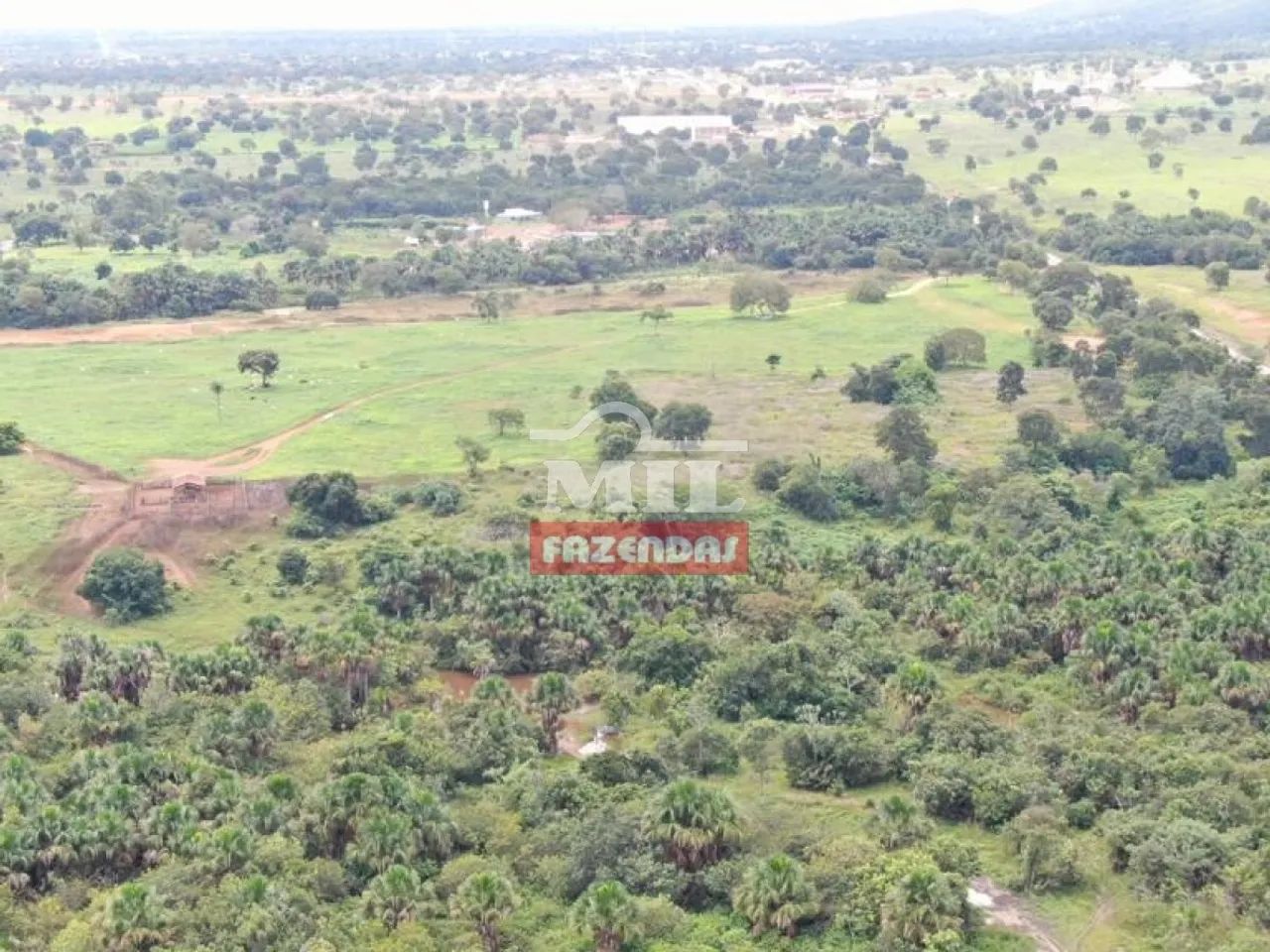 Fazenda de 42 alqueires (204 hectares) em Nova Crixas - GO, - Foto 3