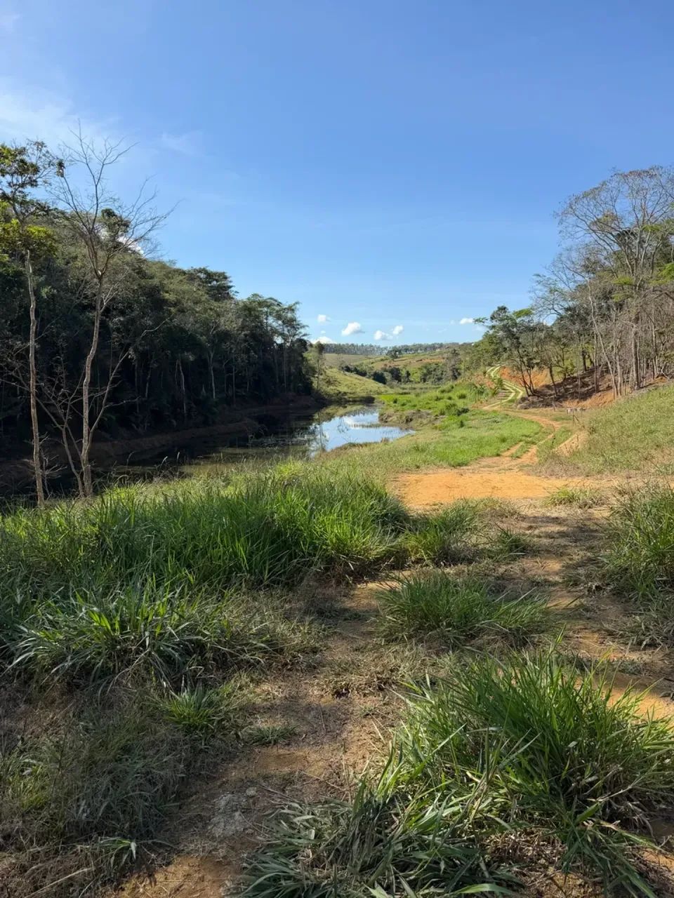 fazendinha em Timbui - Foto 4