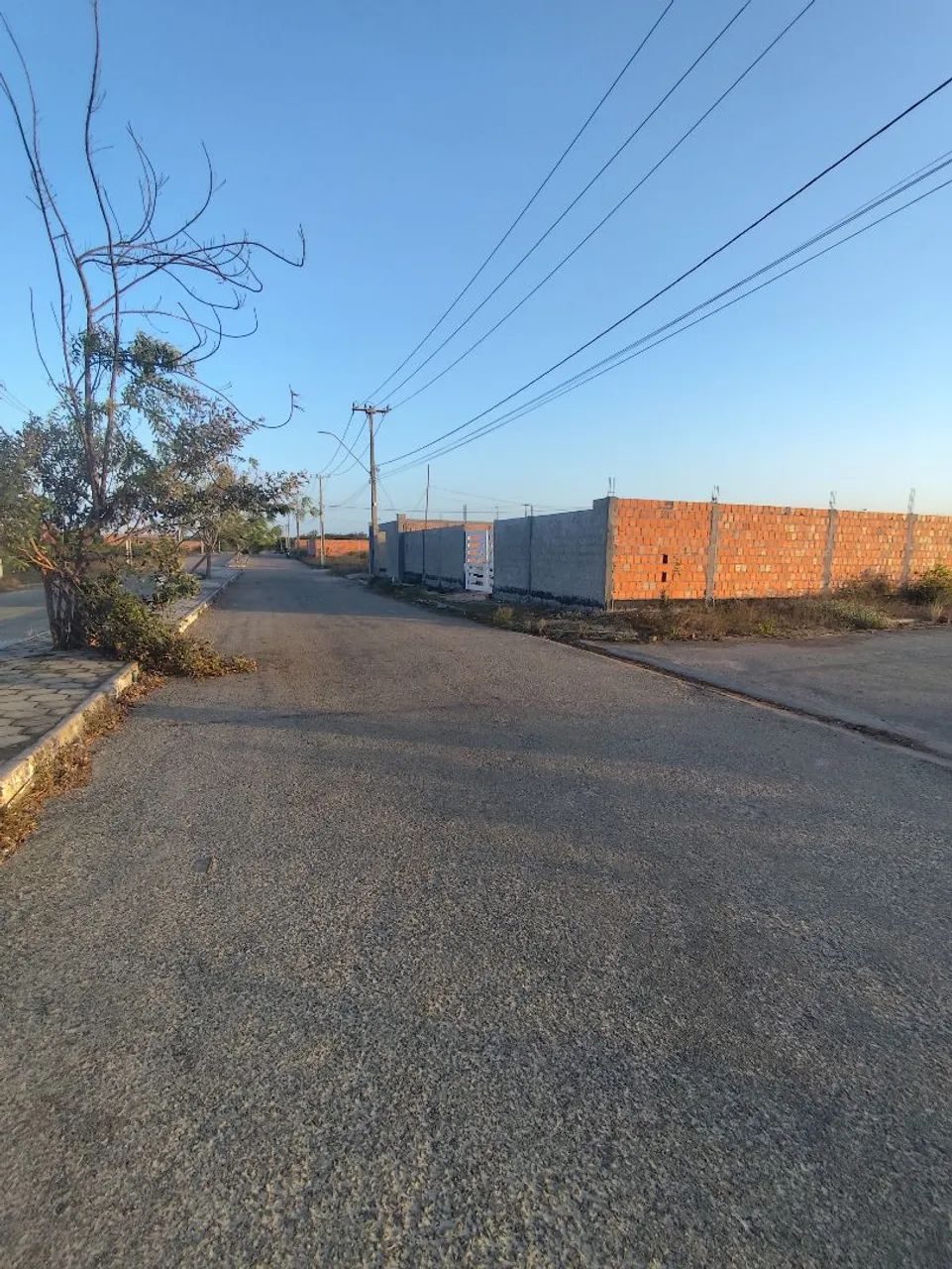 Vendo TERRENO em BARREIRINHAS-MA  - Foto 3