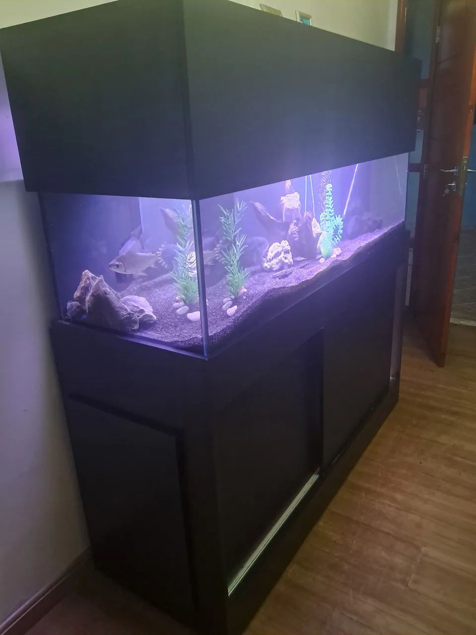 Vendo Aquário slim 350L 
