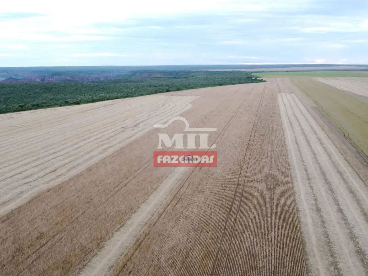 Fazenda 1.200 hectares Bom Jesus - PI