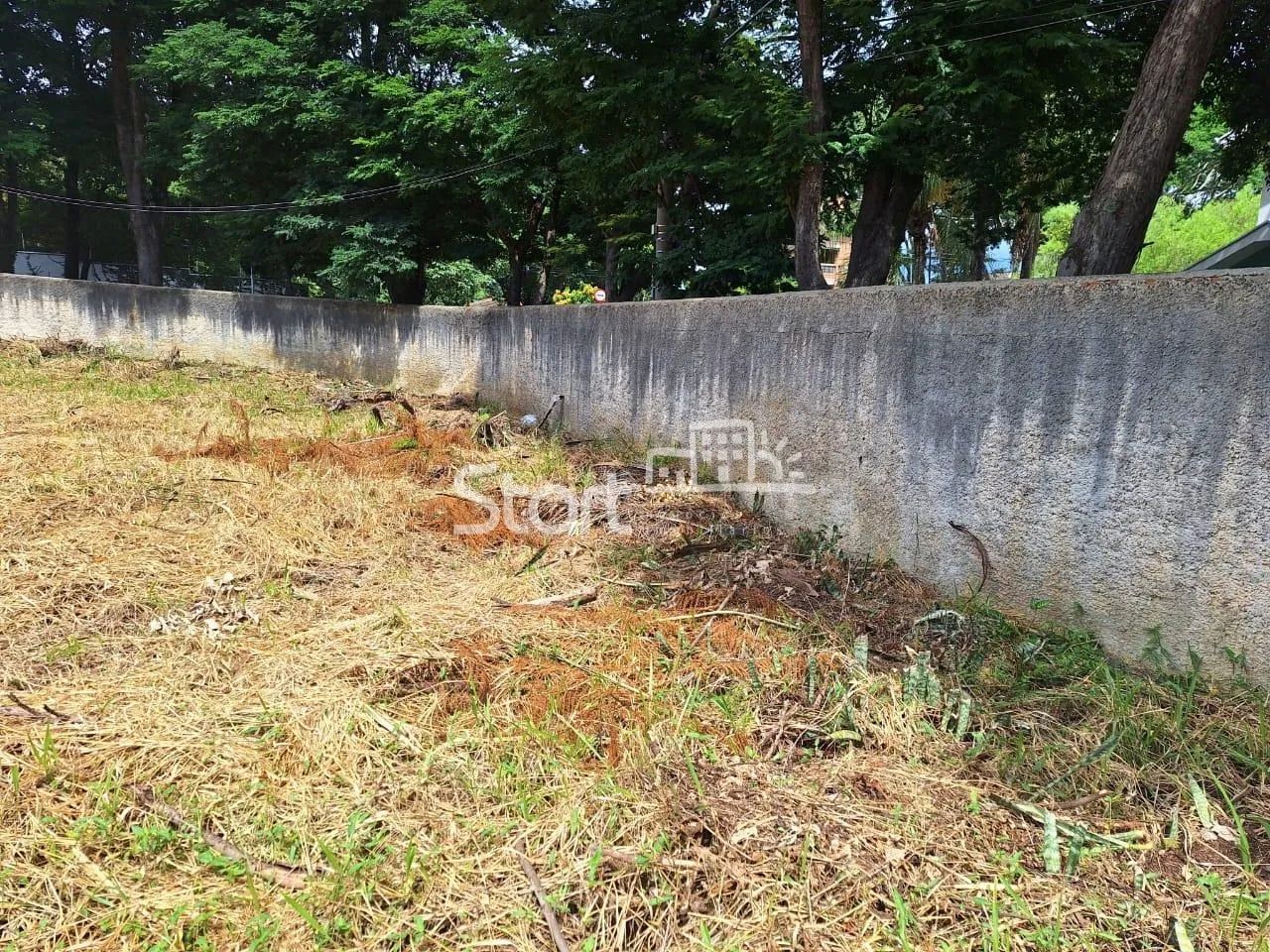 terreno - Cidade Universitária - Campinas - Foto 5