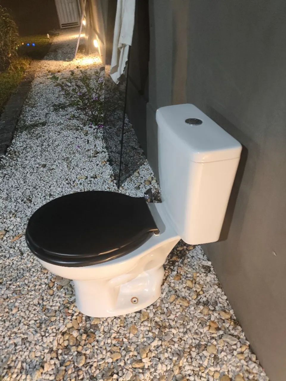 Toilet bowl