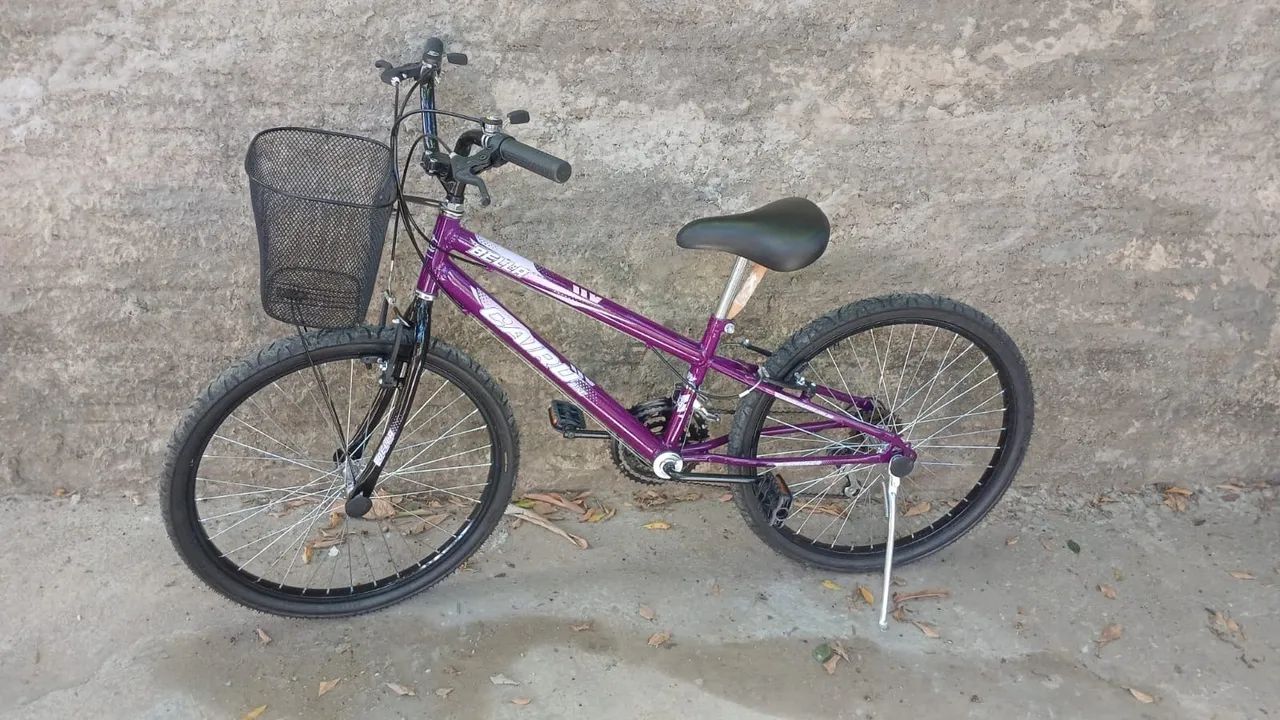 Bicicleta CATRU Bike Modelo BELLA aro 24 e 21 marchas cor violeta