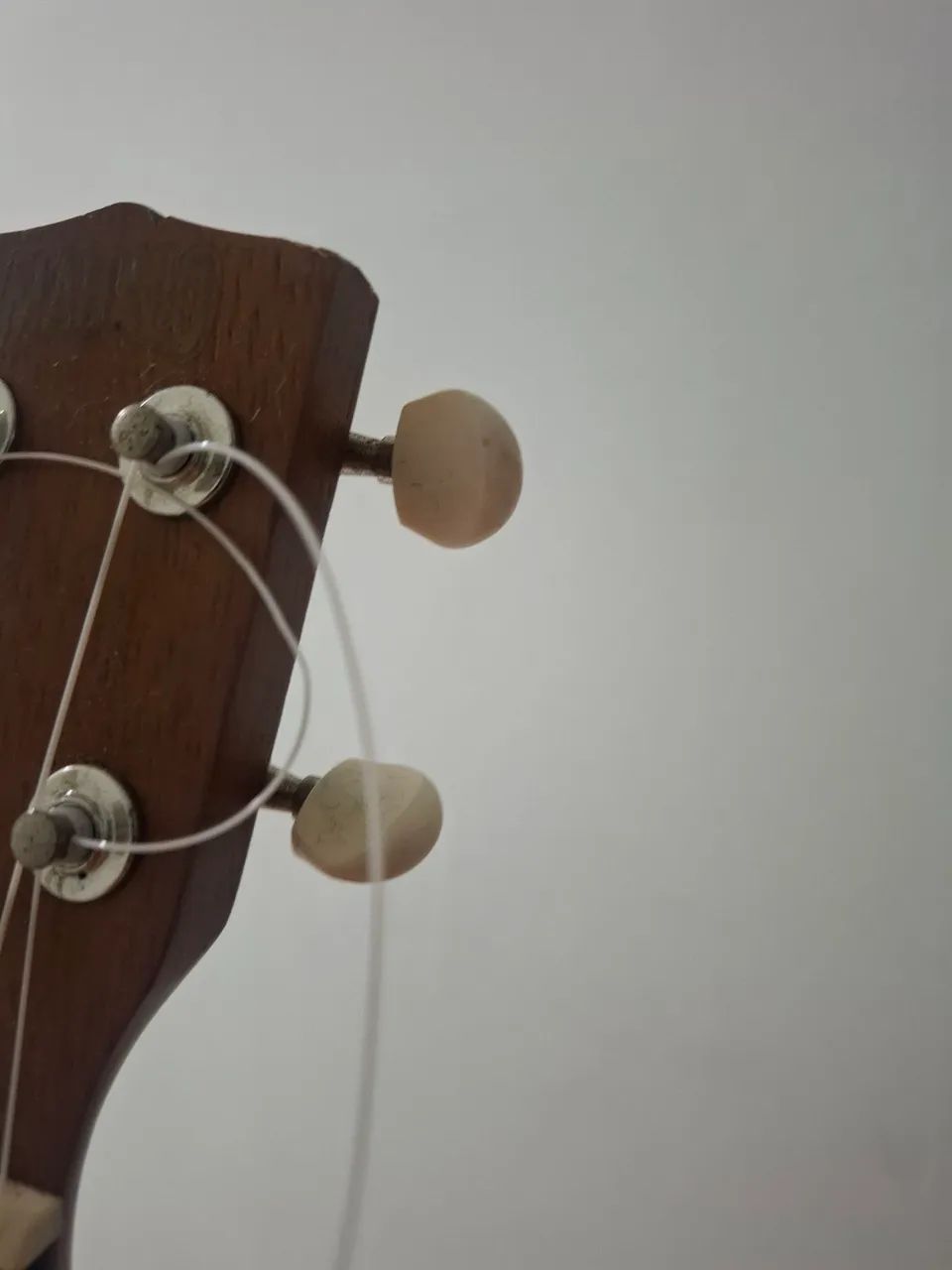 Ukulele - Foto 4