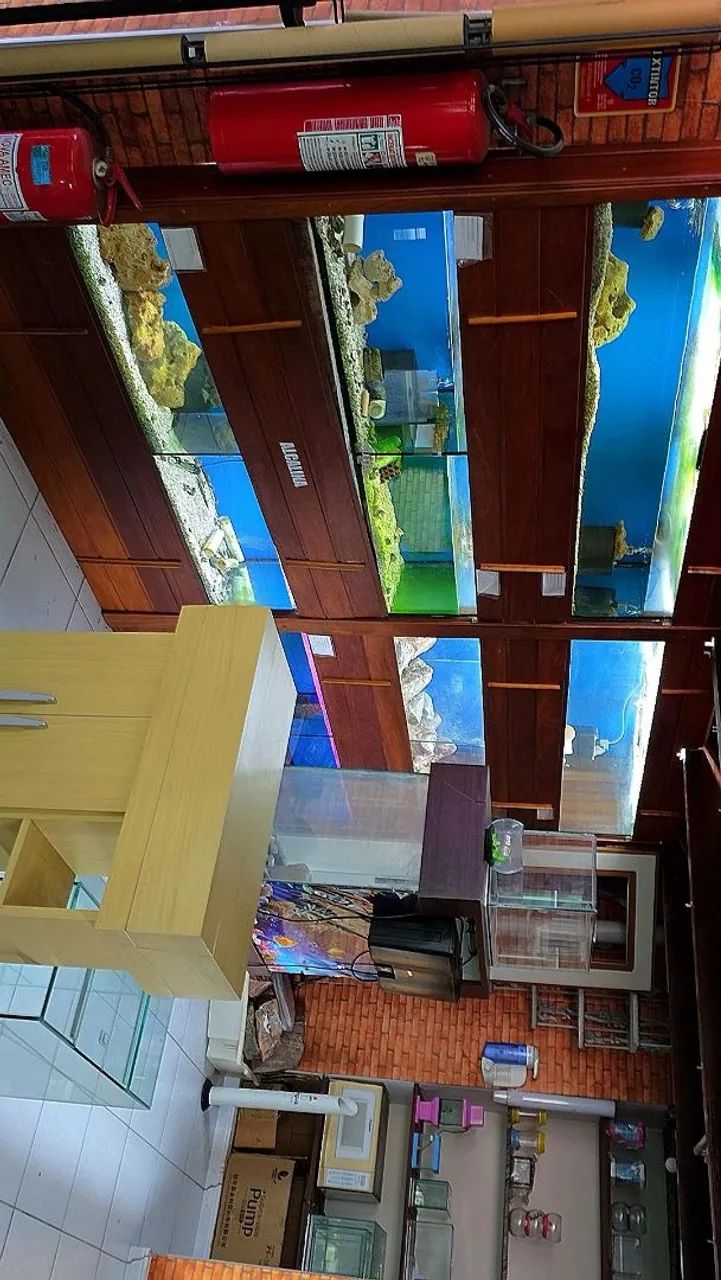 Móvel 70x30  - Foto 3