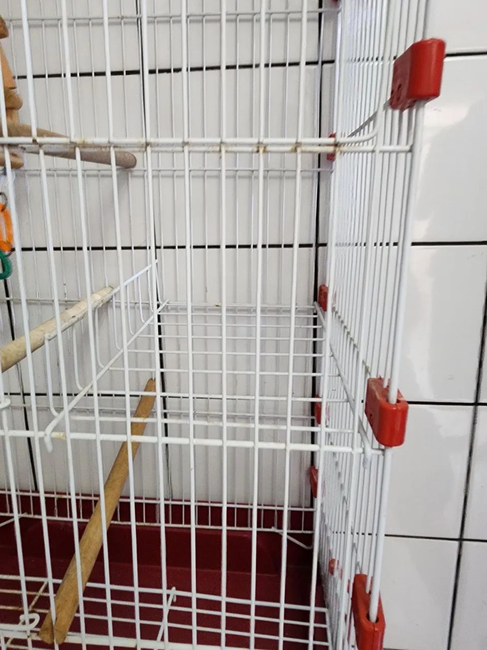 Gaiola para calopsita ou periquitos. Nova! - Foto 6