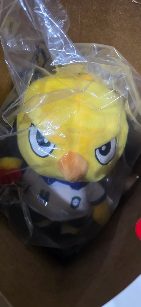 Pelucia do Canarinho 1958 - Foto 4