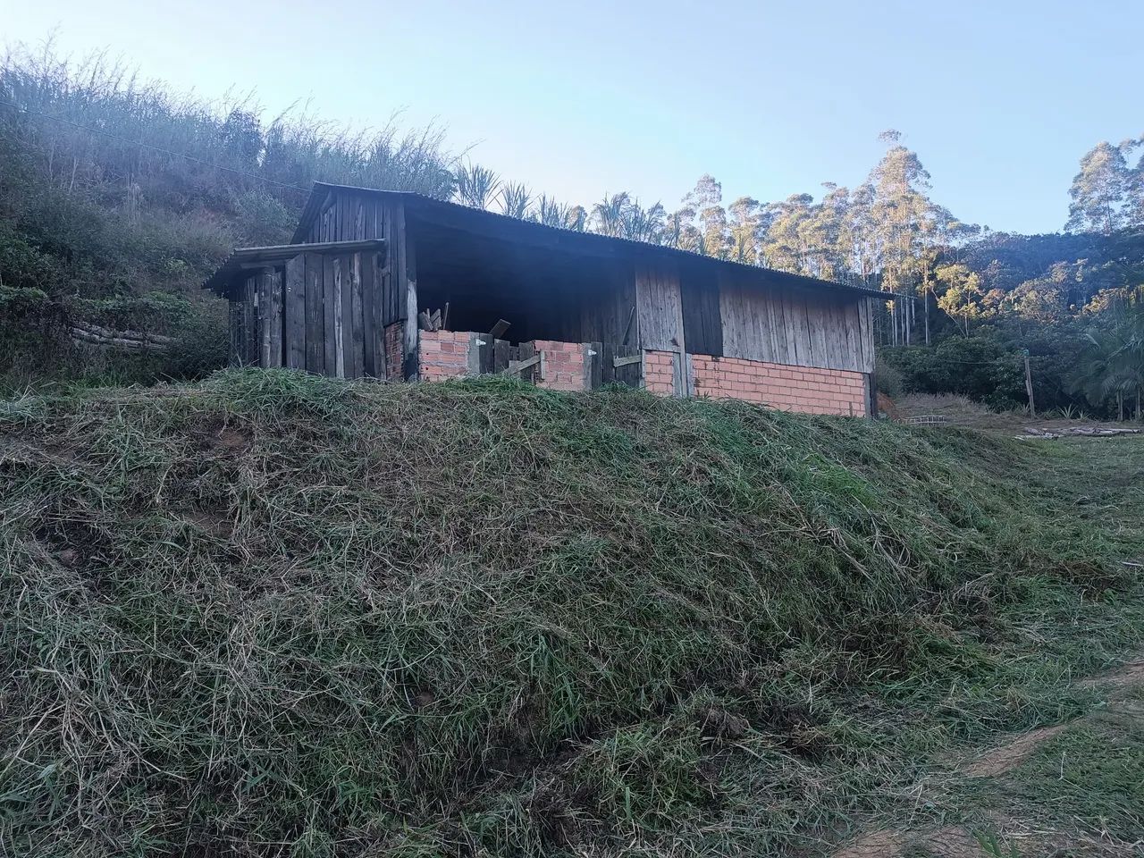 Sítio Ascurra Próx Mariota - Foto 4