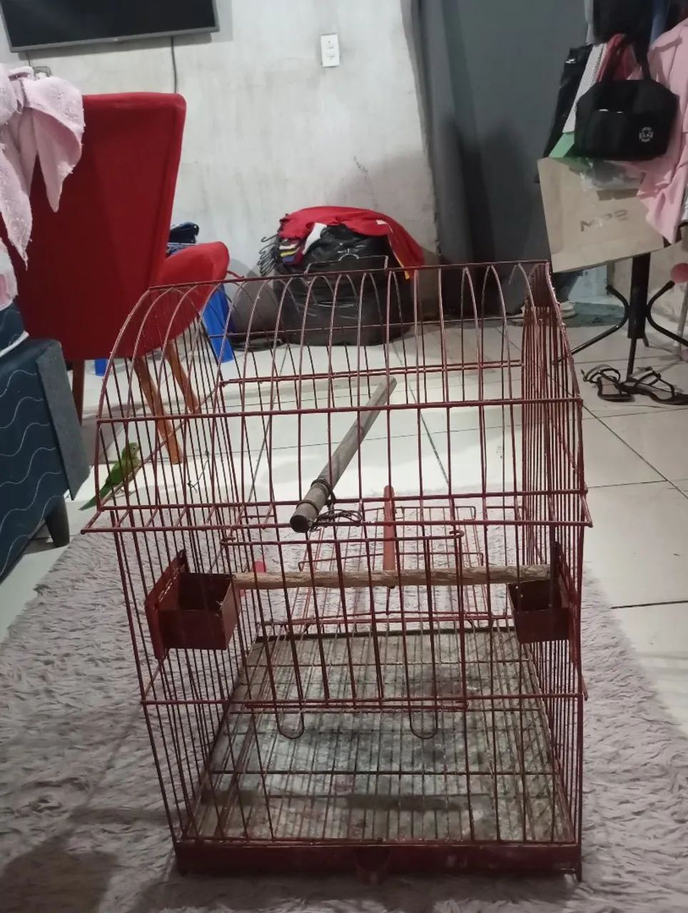 Gaiola para Papagaio 