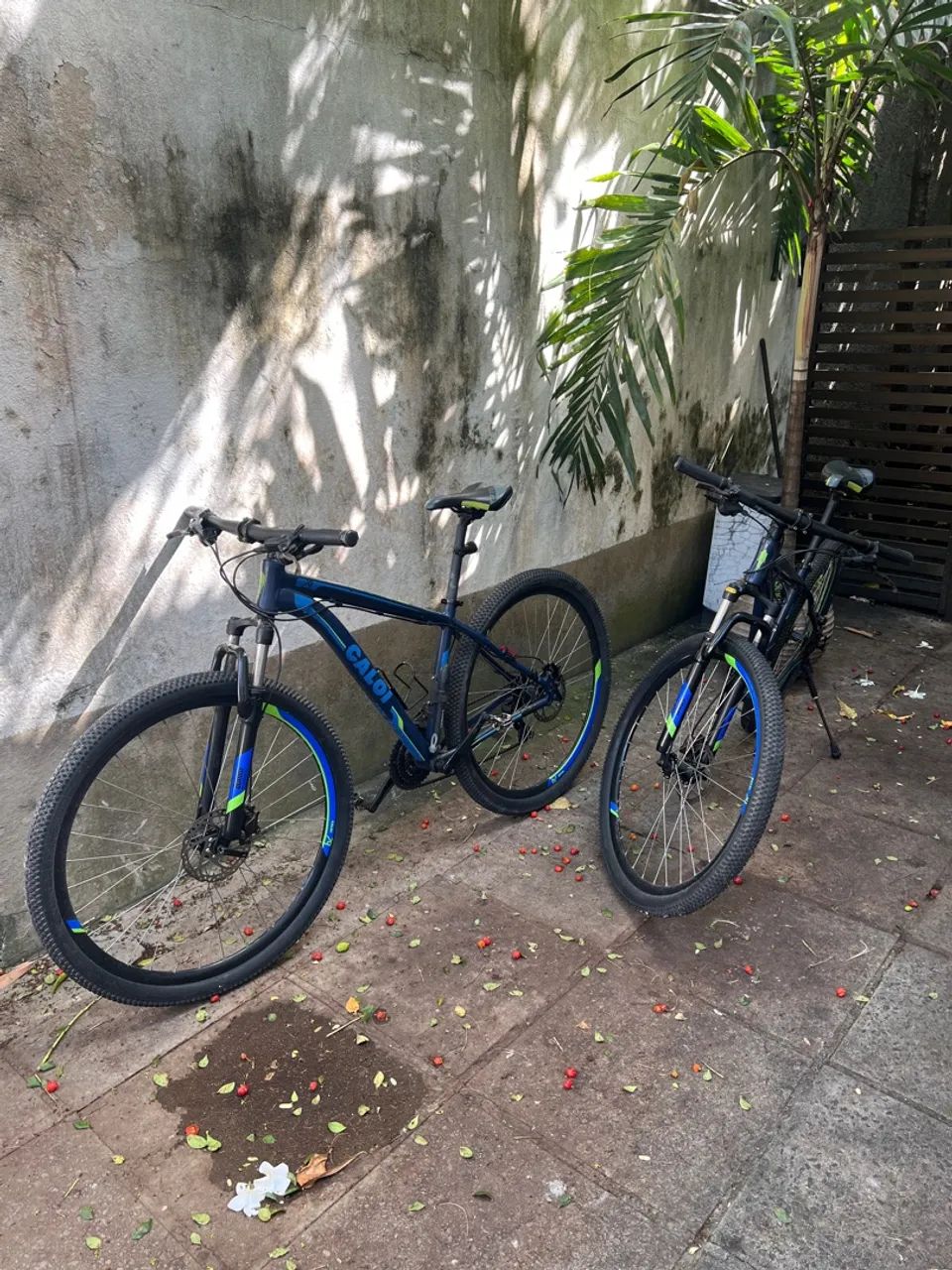 Bicicletas CALOI