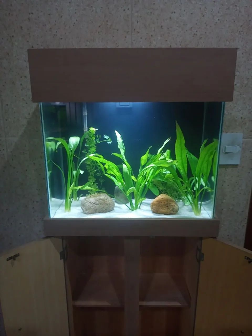 Vendo lindo aquário com móvel completo  - Foto 5