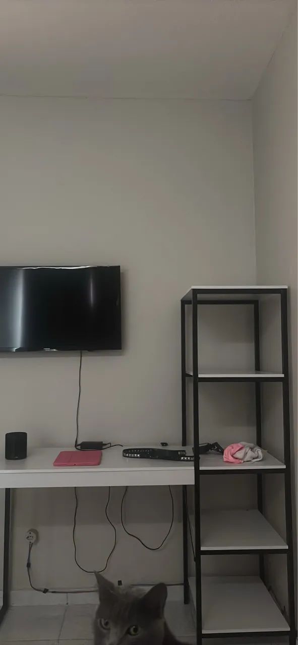 ESCRIVANINHA NOVA - Foto 4