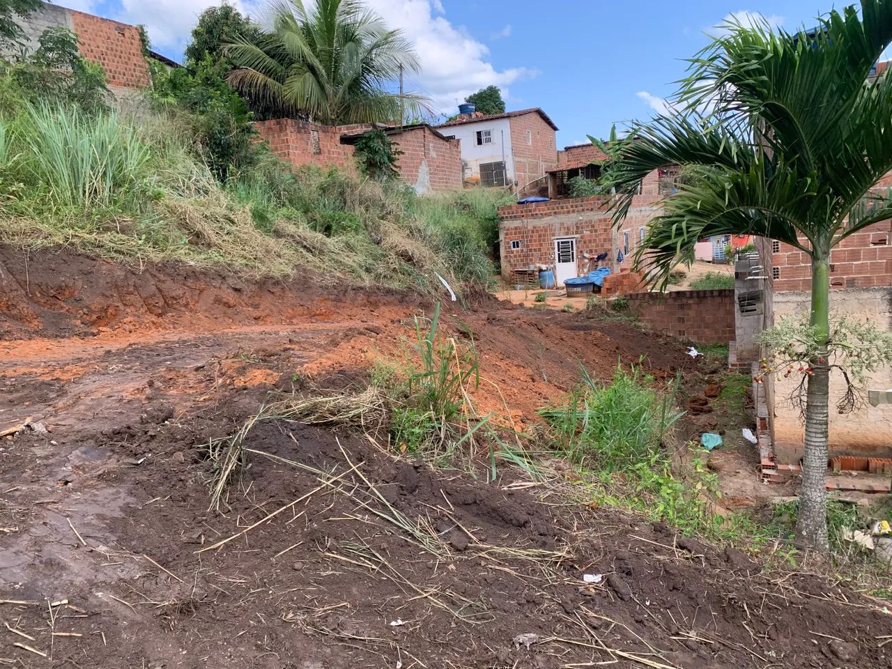 Terreno  - Foto 3