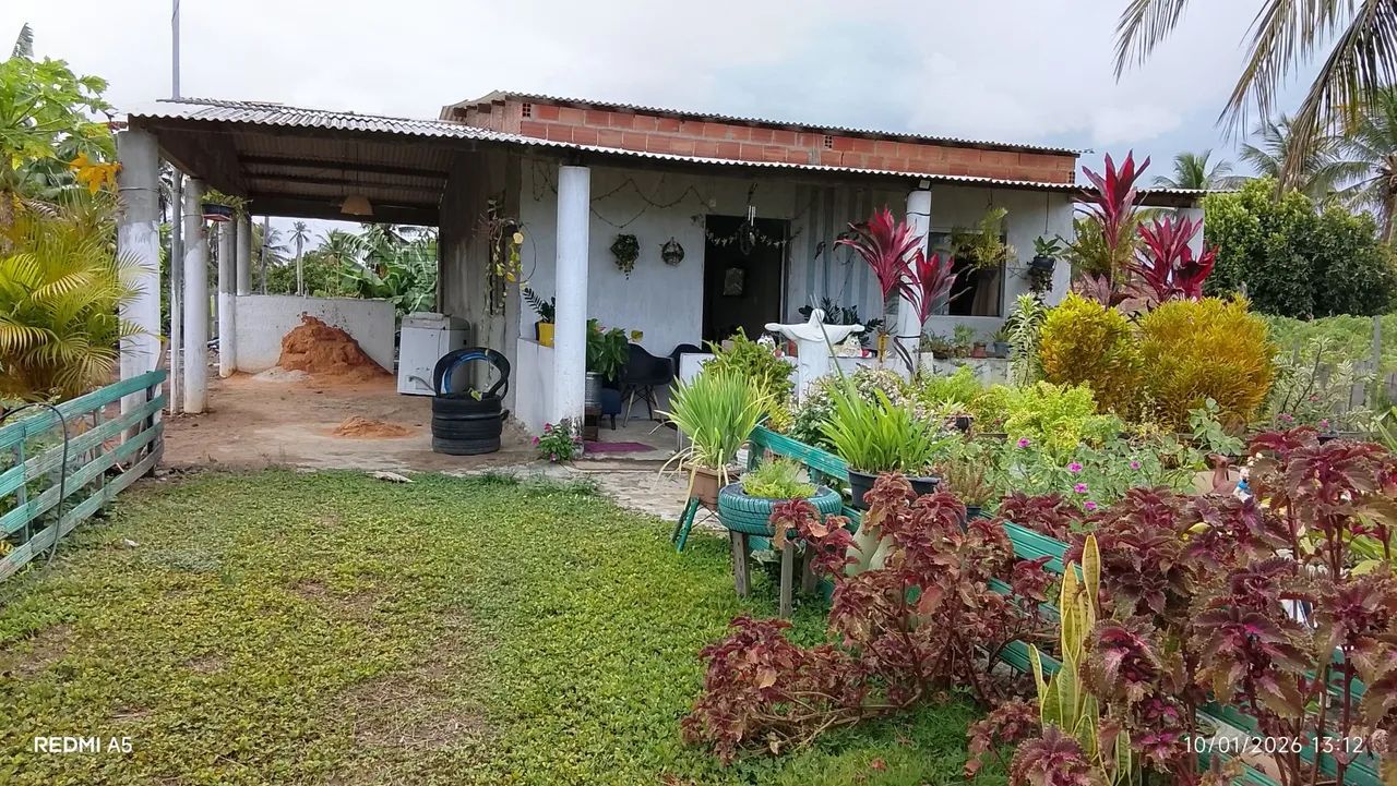 Chácara da família!