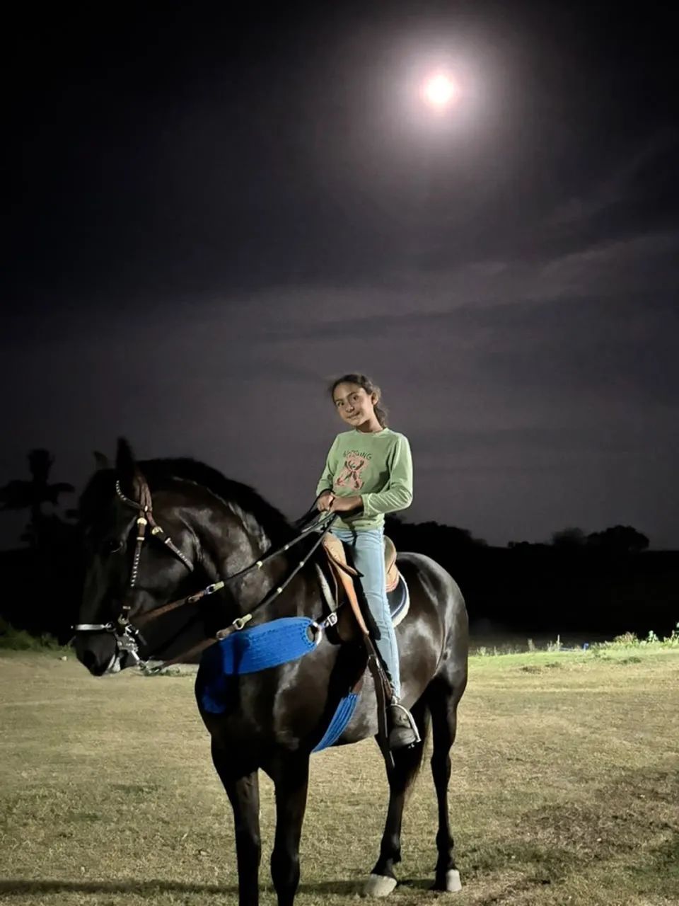 Égua mangalarga  - Foto 2
