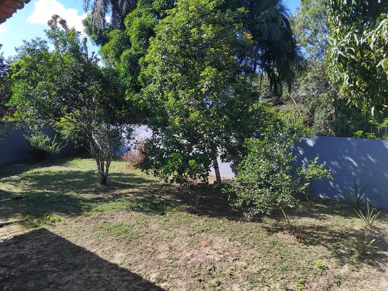 Vendo Sítio em Terra Alta - Foto 4