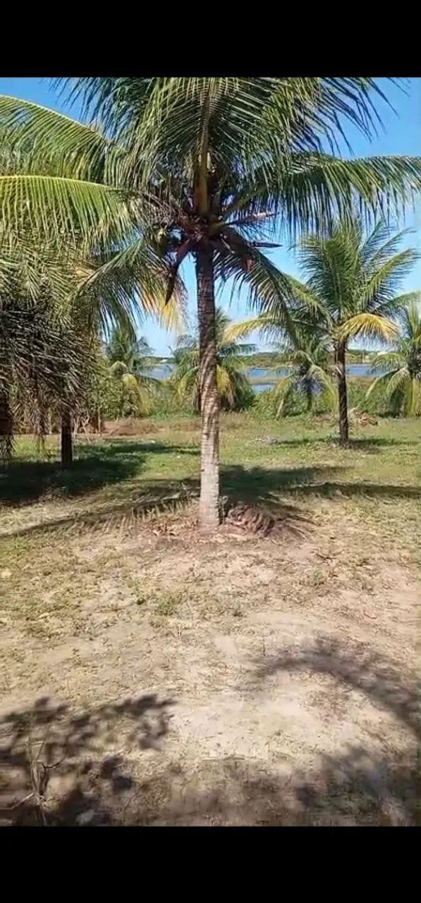 Área beira lagoa chalé pousada - Foto 4