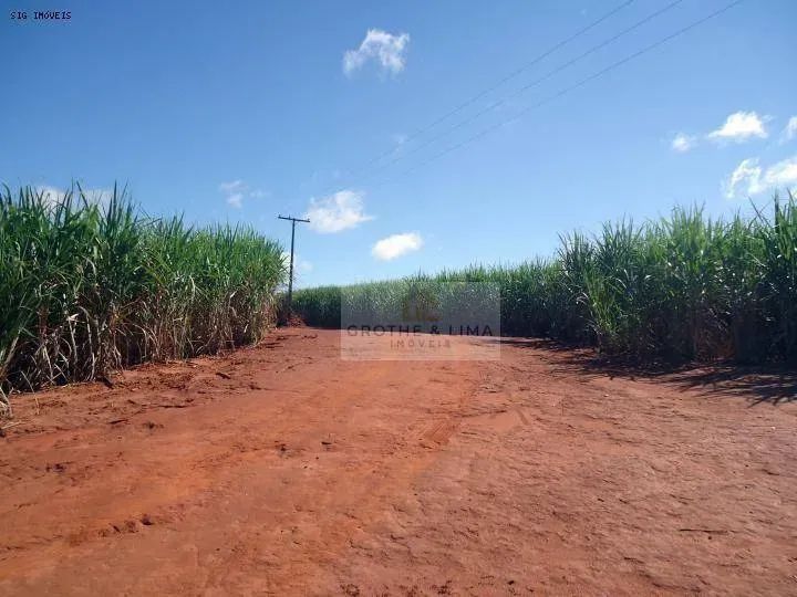 Fazenda à venda em Rancharia - SP - Foto 5