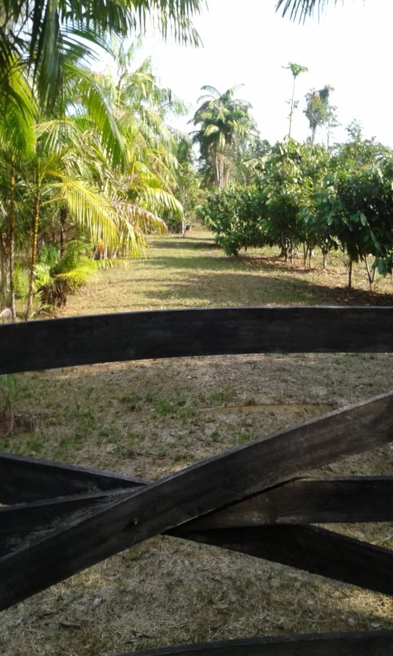 Sítio no ramal chapahall 