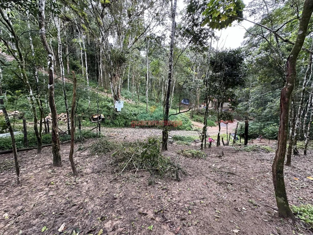 Gleba com 5.006,73 m², com documentação em Guaramiranga/CE. - Foto 5