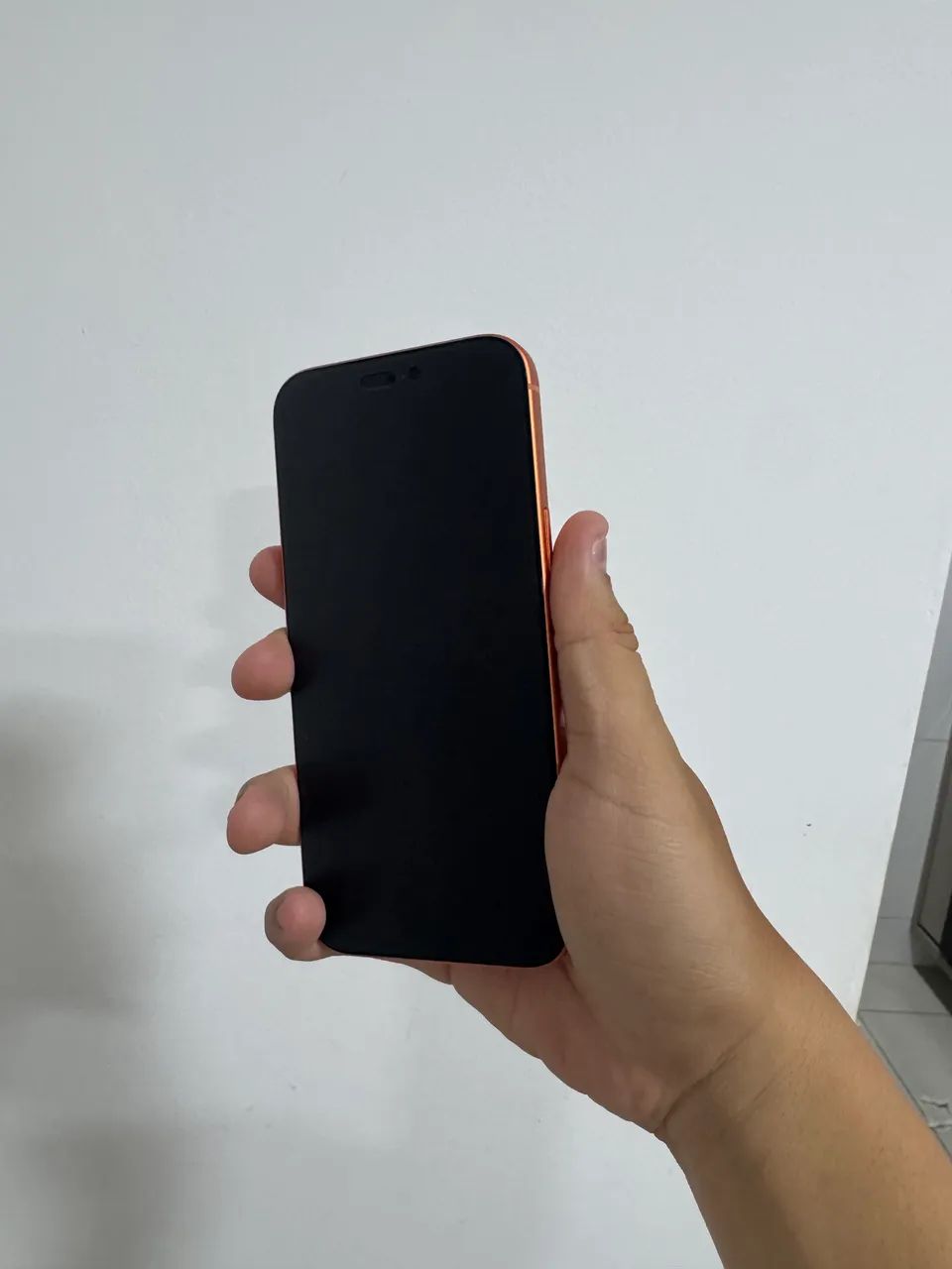iPhone 17 Pro Max 256GB  - Foto 2