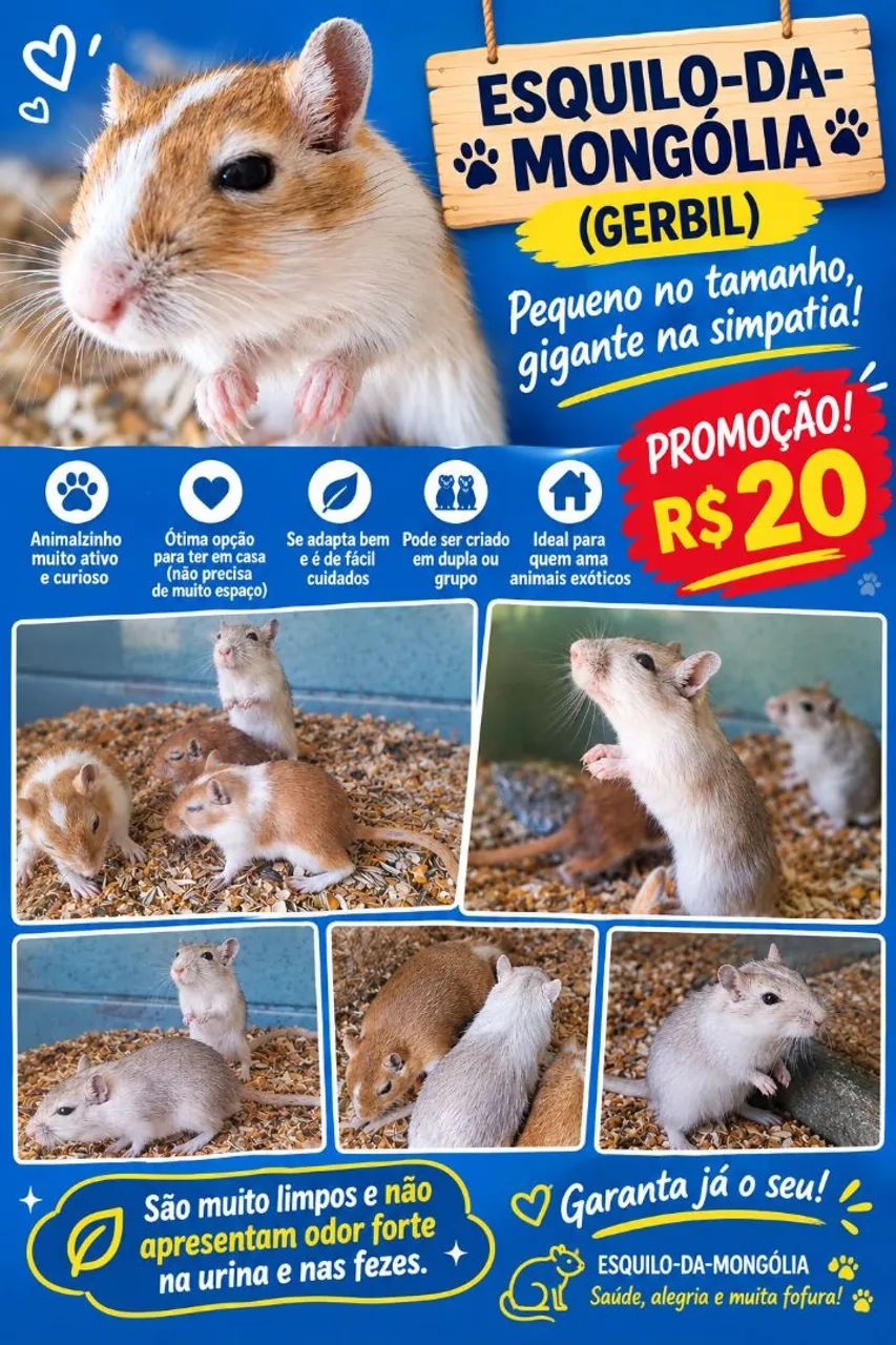 Gerbil ou esquilo-da-mongólia