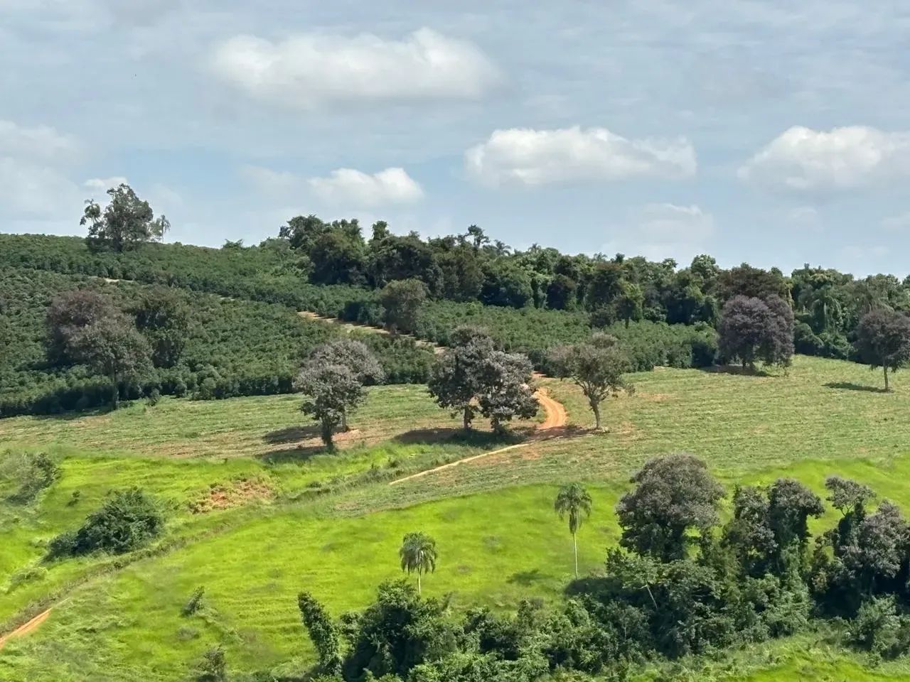 Fazenda Elói Mendes  MG - Foto 2