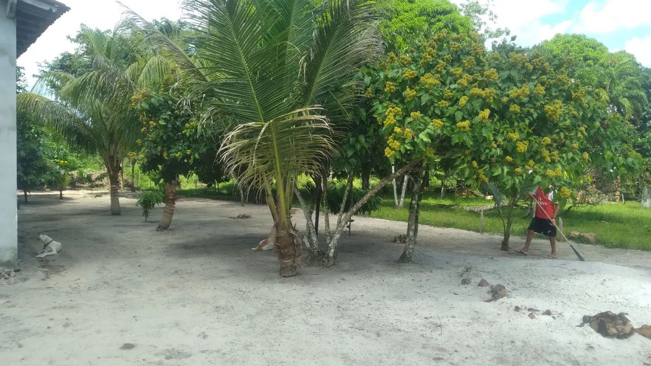 Documentos de compra e venda  - Foto 3
