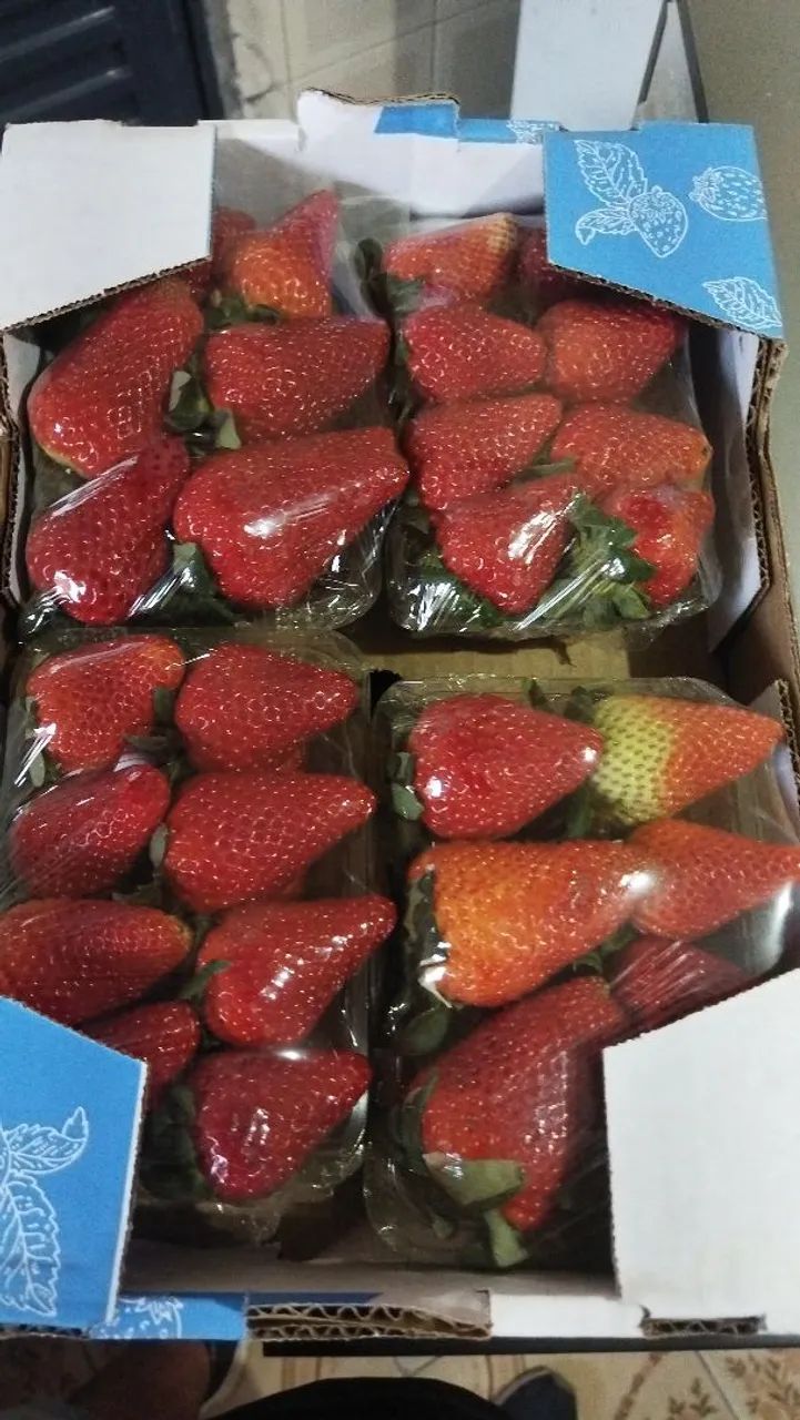 Morangos ? - Foto 2
