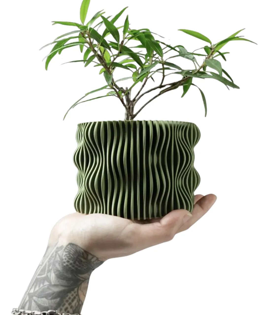 Vasos de plantas  - Foto 5