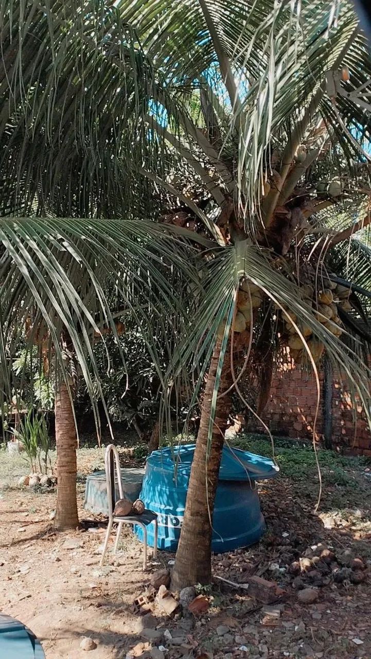Venda de casa  - Foto 5
