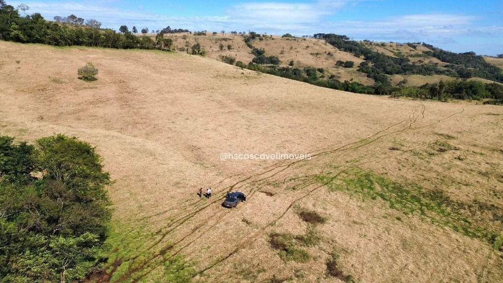 Fazenda em Guaraniaçu - Foto 4