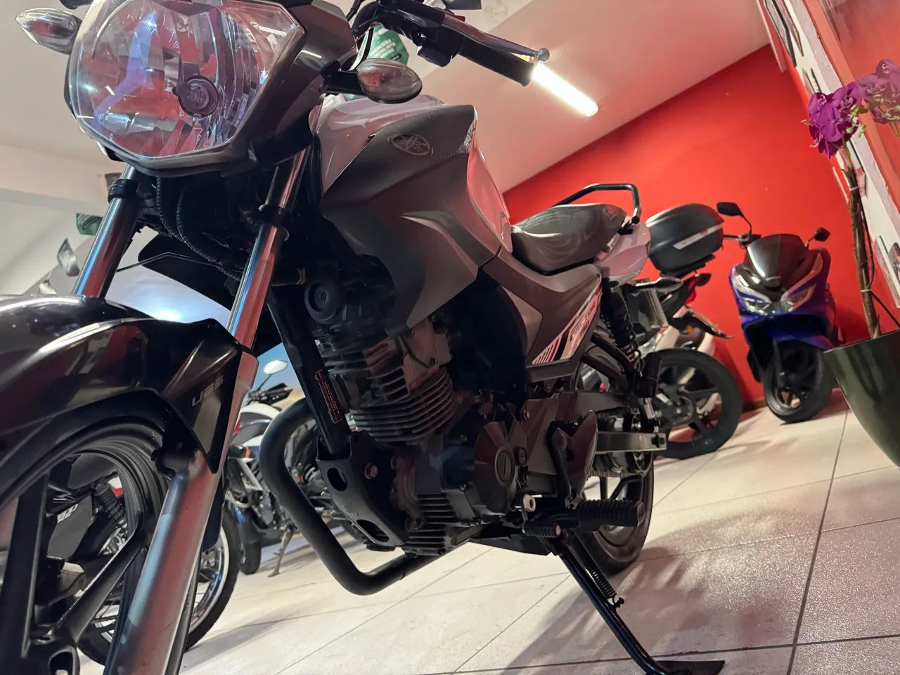 FACTOR 150 ED 2022 - Foto 4