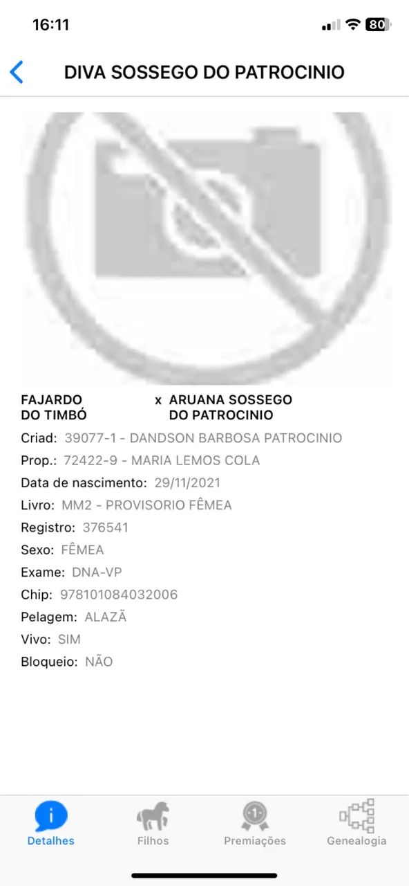 Vendo égua mangalarga marchador - Foto 2