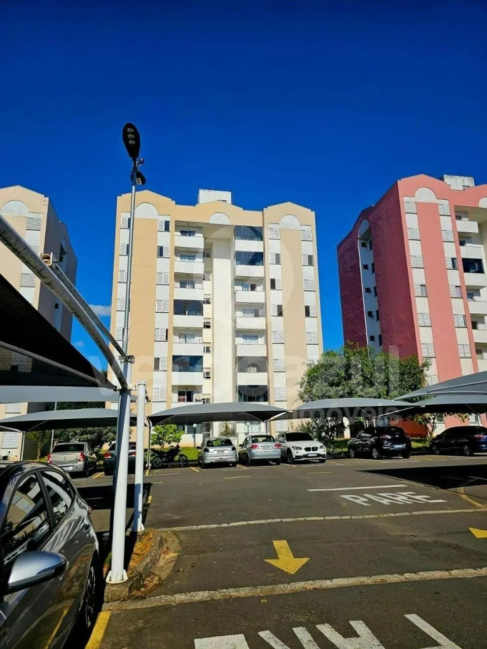 apartamento - Parque Camélias - Campinas - Foto 3