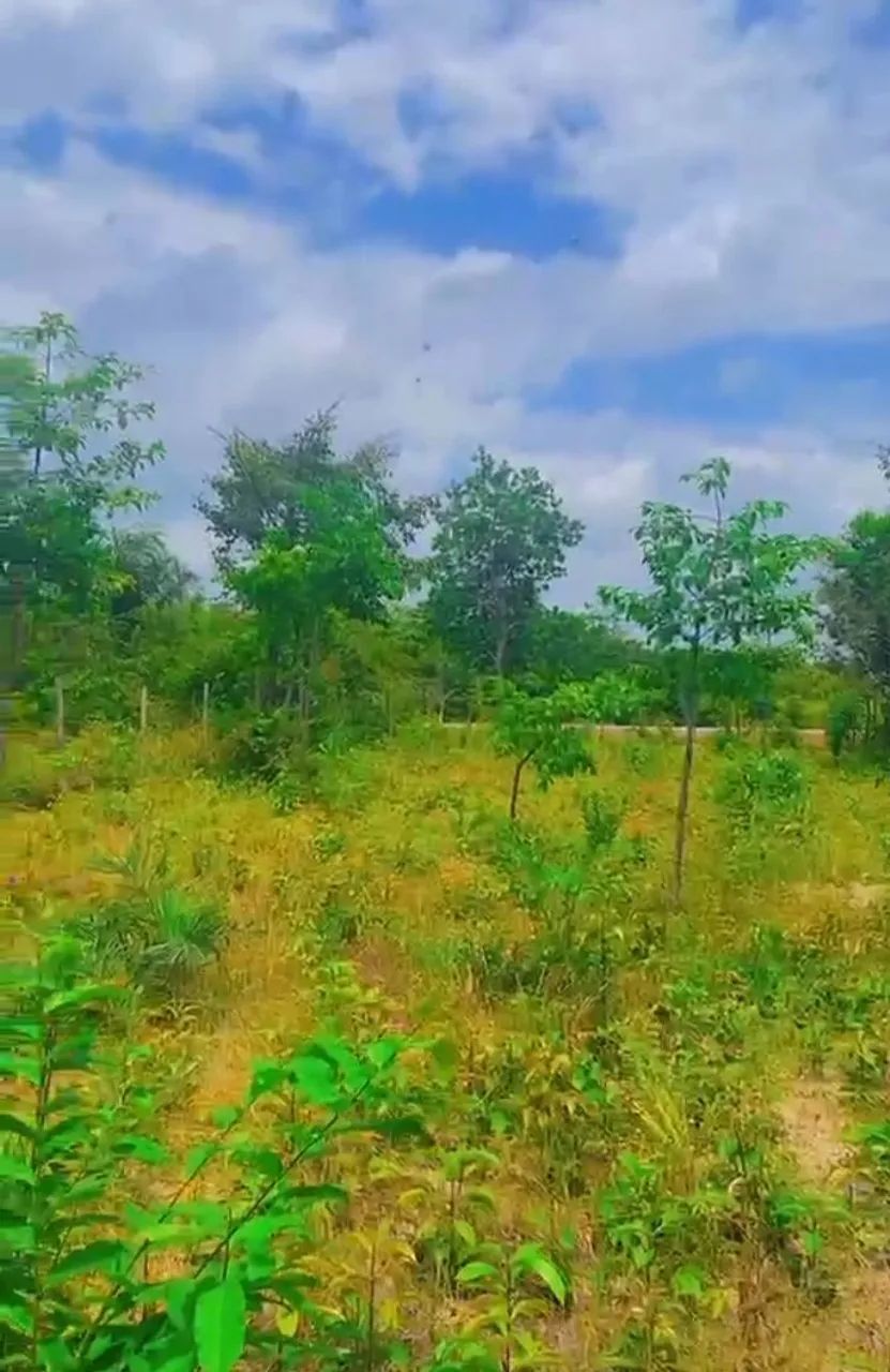 Terreno em Marudá 