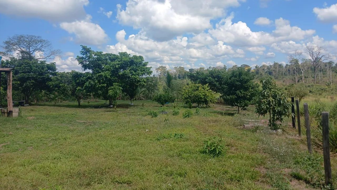 Não tem  - Foto 2