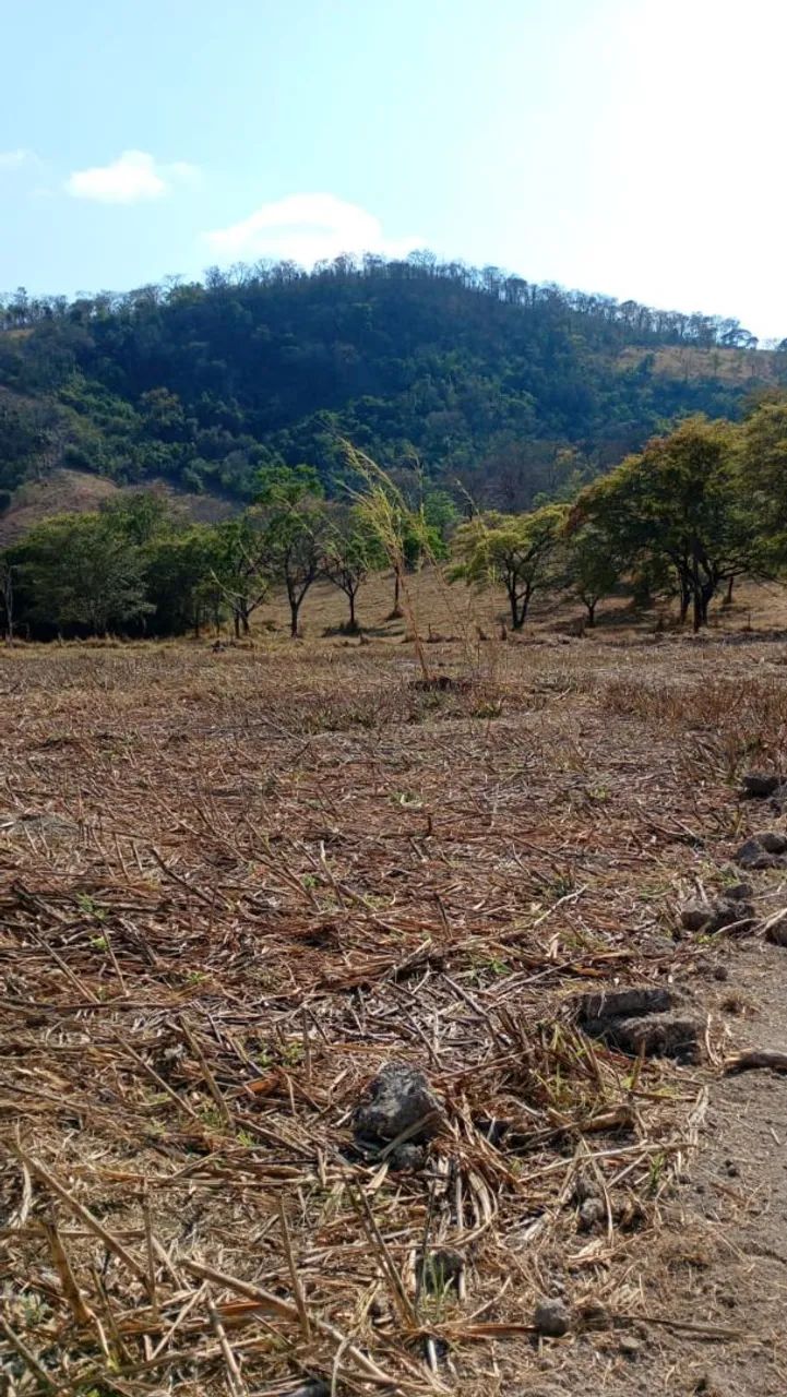 Terreno módulo rural em florestal  - Foto 3