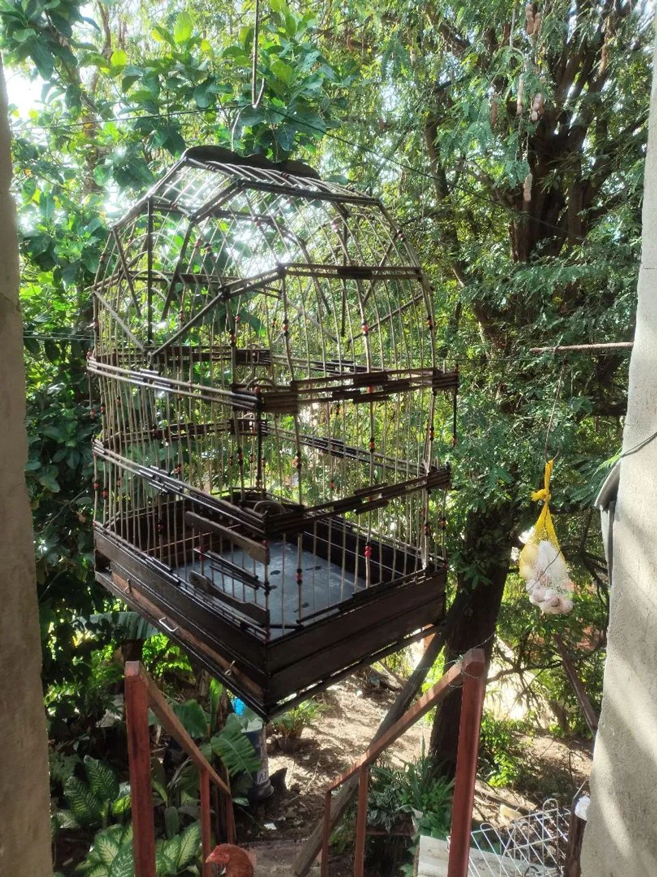 Gaiola de cabeça  - Foto 2