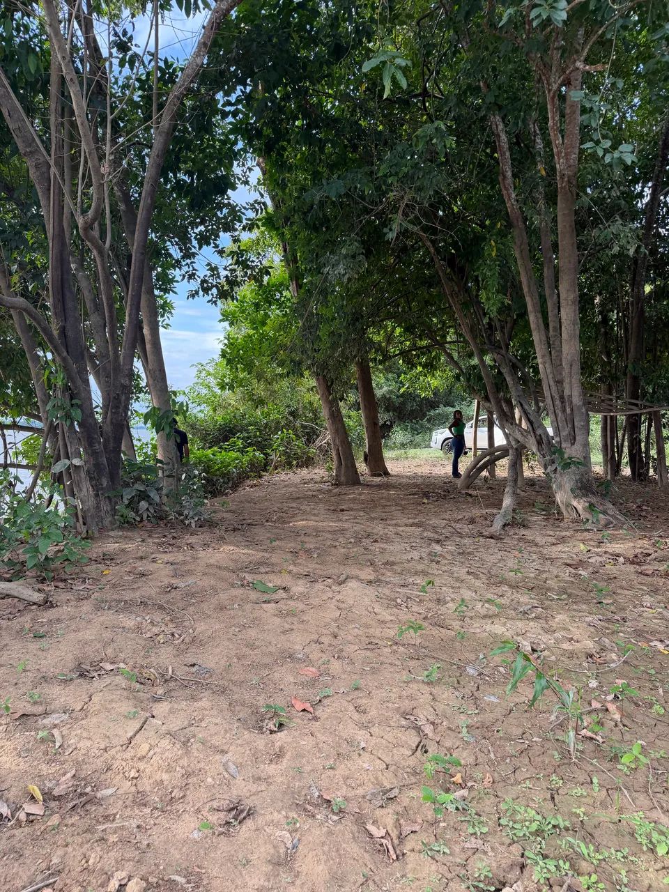 sitio na serra grande cantá - Foto 4
