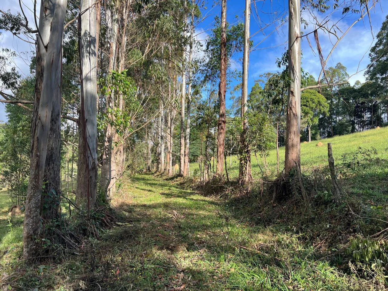 Terreno em Curvilhana - Ouro Branco MG