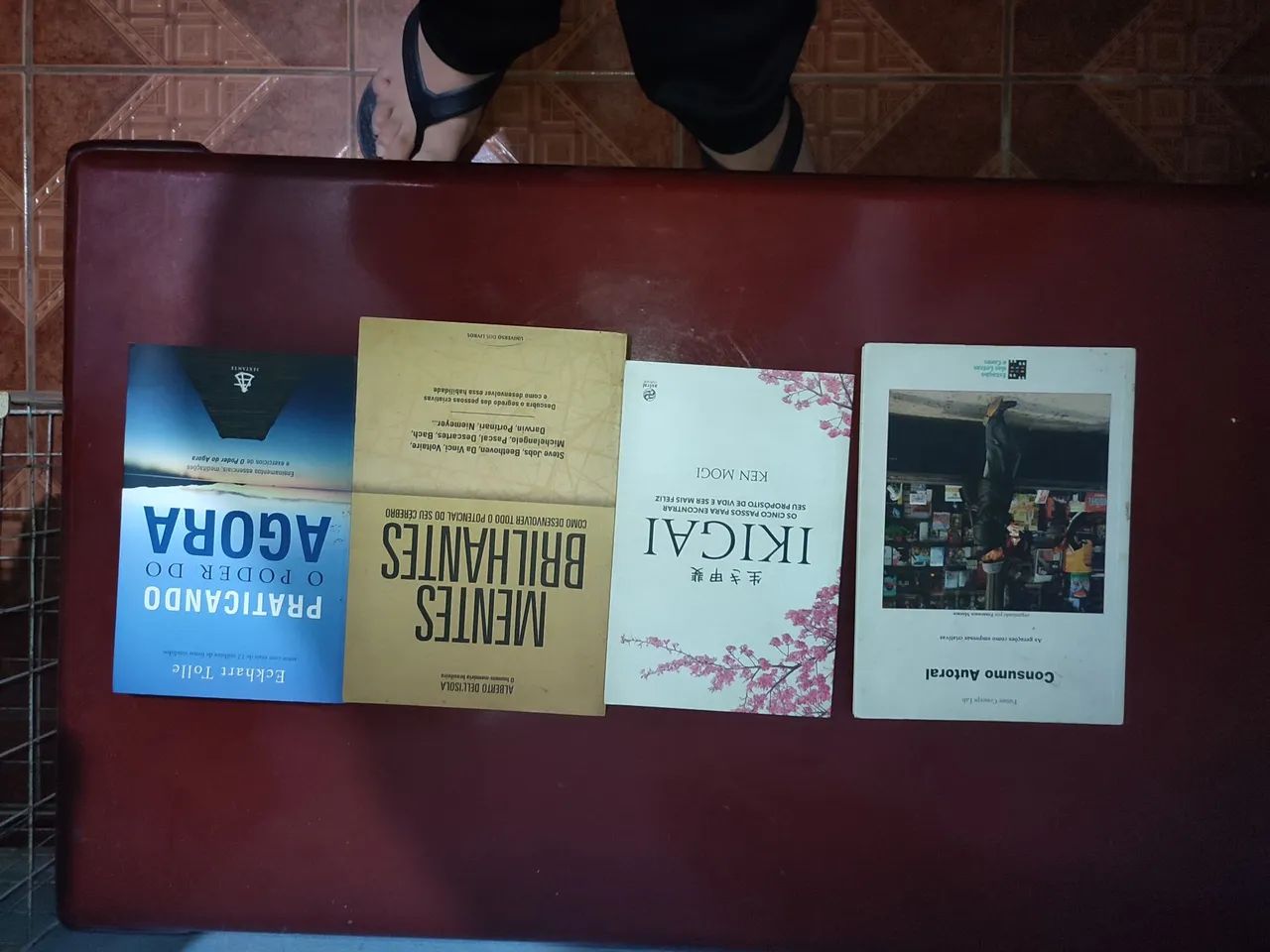 Lote de Livros usados 