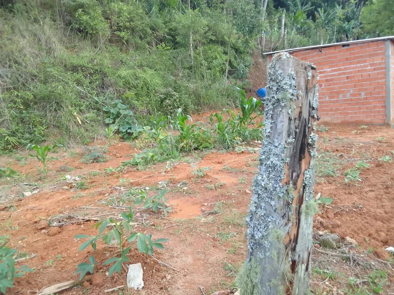 Terreno urbano  - Foto 2