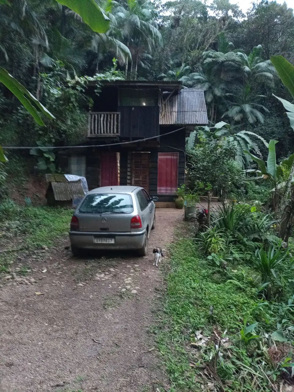 vendo chácara em Morretes PR - Foto 3